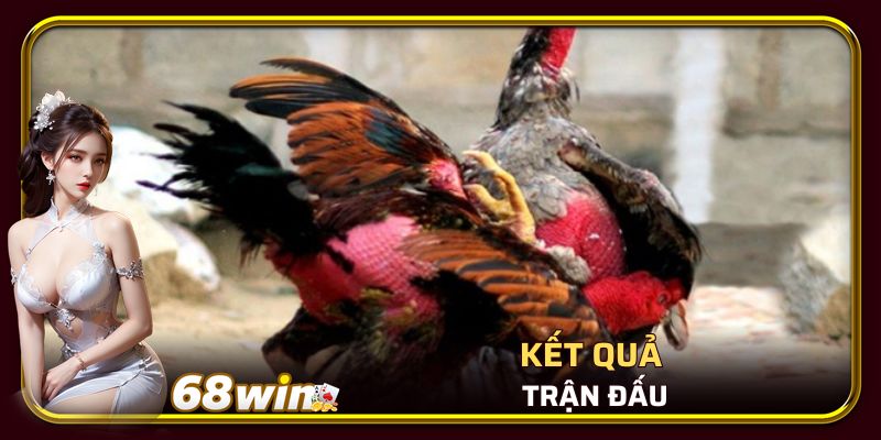 Kết quả trận đấu