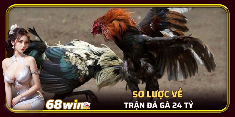 Sơ lược về trận đá gà 24 tỷ