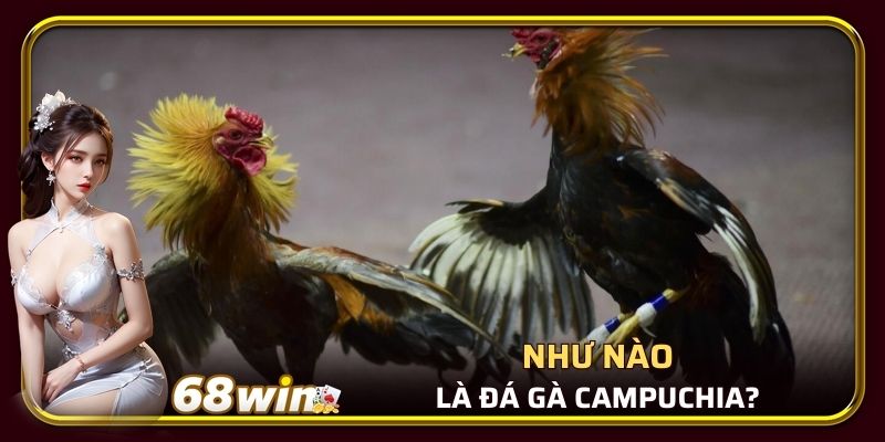 Như nào là đá gà Campuchia?