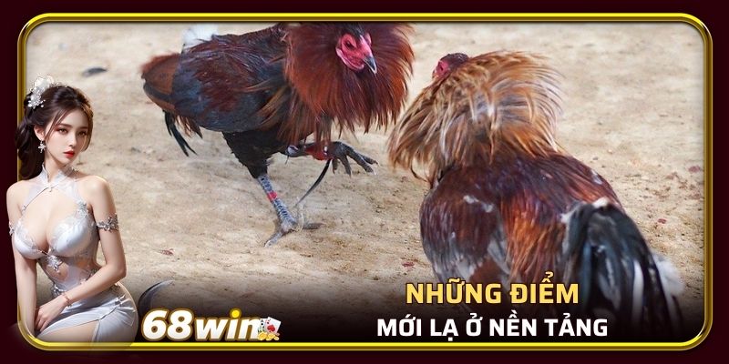 Những điểm mới lạ ở nền tảng