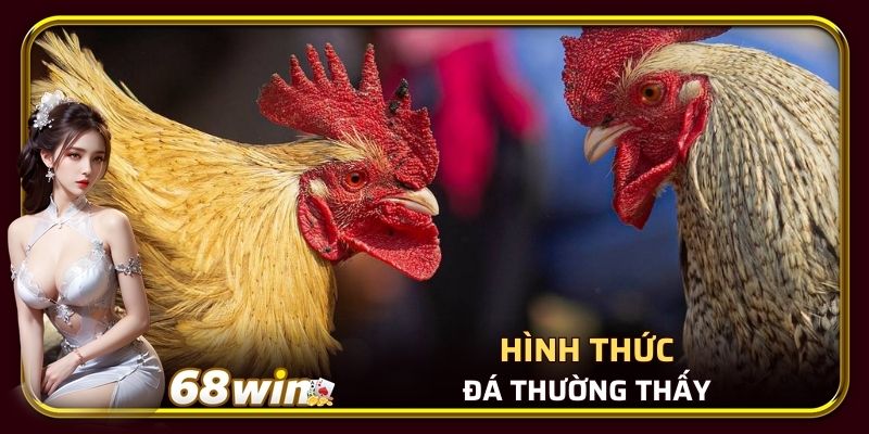 Hình thức đá thường thấy