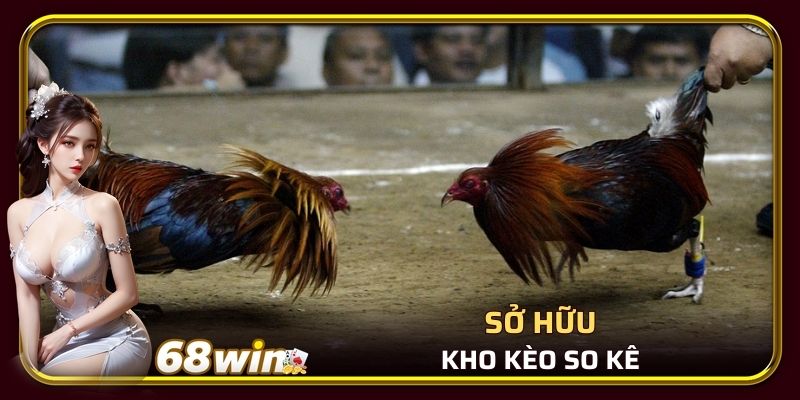 Sở hữu kho kèo so kê đa dạng