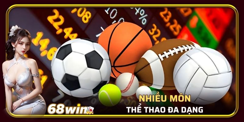 Nhiều môn thể thao đa dạng